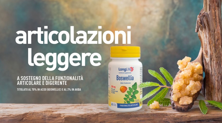 New Longlife Boswellia