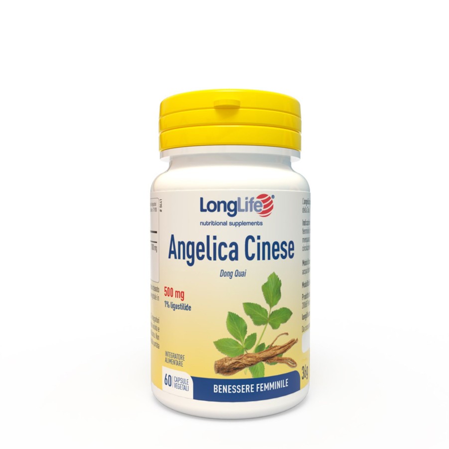 Wholesale Longlife Angelica Cinese