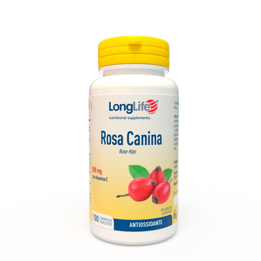 Wholesale Longlife Rosa Canina