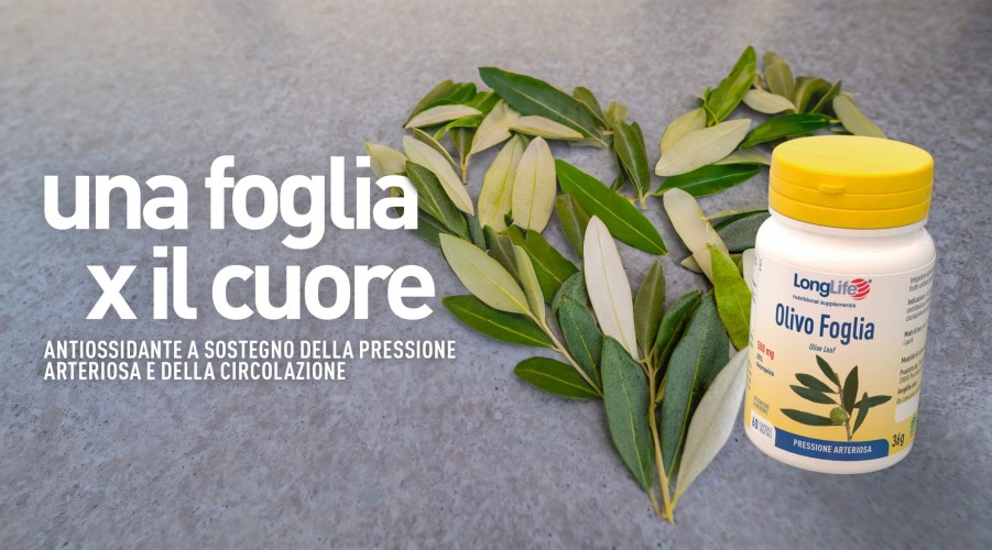 New Longlife Olivo Foglia