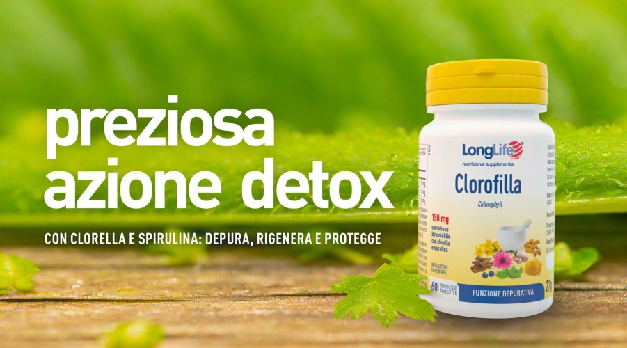 Wholesale Longlife Clorofilla