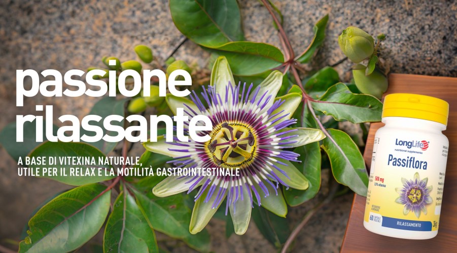 Wholesale Longlife Passiflora